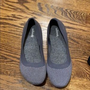 Allbirds tree breezer limited edition